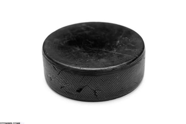 体育篮球培训项目利润及市场分析(图1)