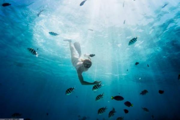 体育项目学习最佳时机解析(图1)