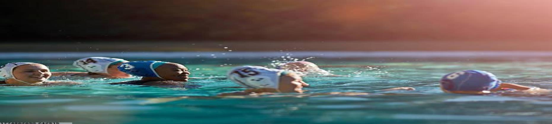 2026世界杯官网入口简介